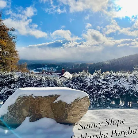 Sunny Slope - 2X Prywatna Sauna, Tarasy I Widok Na Gory - Willa W Gorach Na Wylacznosc 别墅