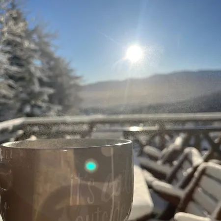 Sunny Slope - 2X Prywatna Sauna, Tarasy I Widok Na Gory - Willa W Gorach Na Wylacznosc 别墅