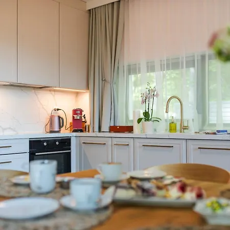 Sunny Slope - 2X Prywatna Sauna, Tarasy I Widok Na Gory - Willa W Gorach Na Wylacznosc 别墅