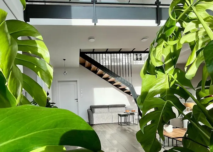 Sunny Slope - W Gorach Na Wylacznosc *