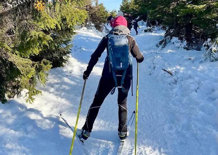 Sunny Slope - W Gorach Na Wylacznosc * 스클라르스카포렘바