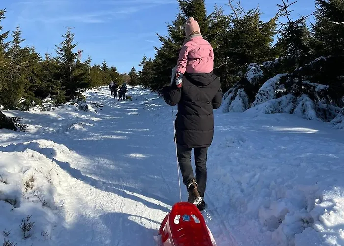 וילה Luksusowa W Gorach Sunny Slope - Szklarska Poreba, Widok Na Karkonosze, 2 Prywatne Sauny W Cenie, 5 Lazienek, Tarasy, Ogrod