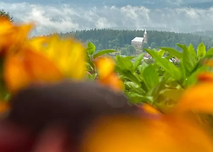 Sunny Slope - W Gorach Na Wylacznosc 빌라 스클라르스카포렘바